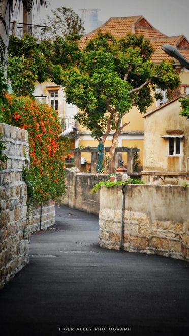 鼓浪屿(来源:厦门文旅公众号)